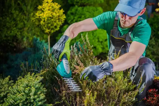 landscaping services Laurelville